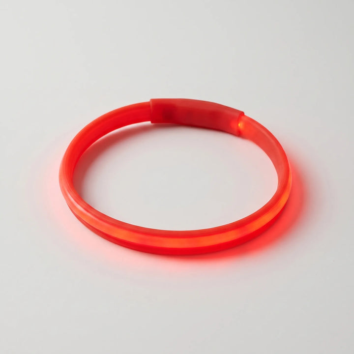 Leuchthalsband Für Hunde -  Glowen