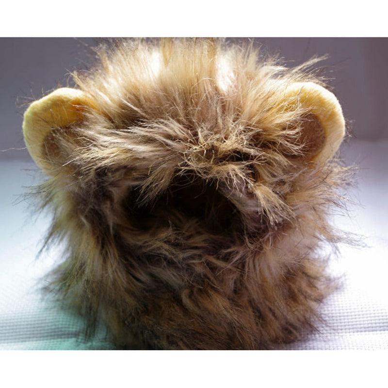 Löwenmähne Für Katzen -  Maneify