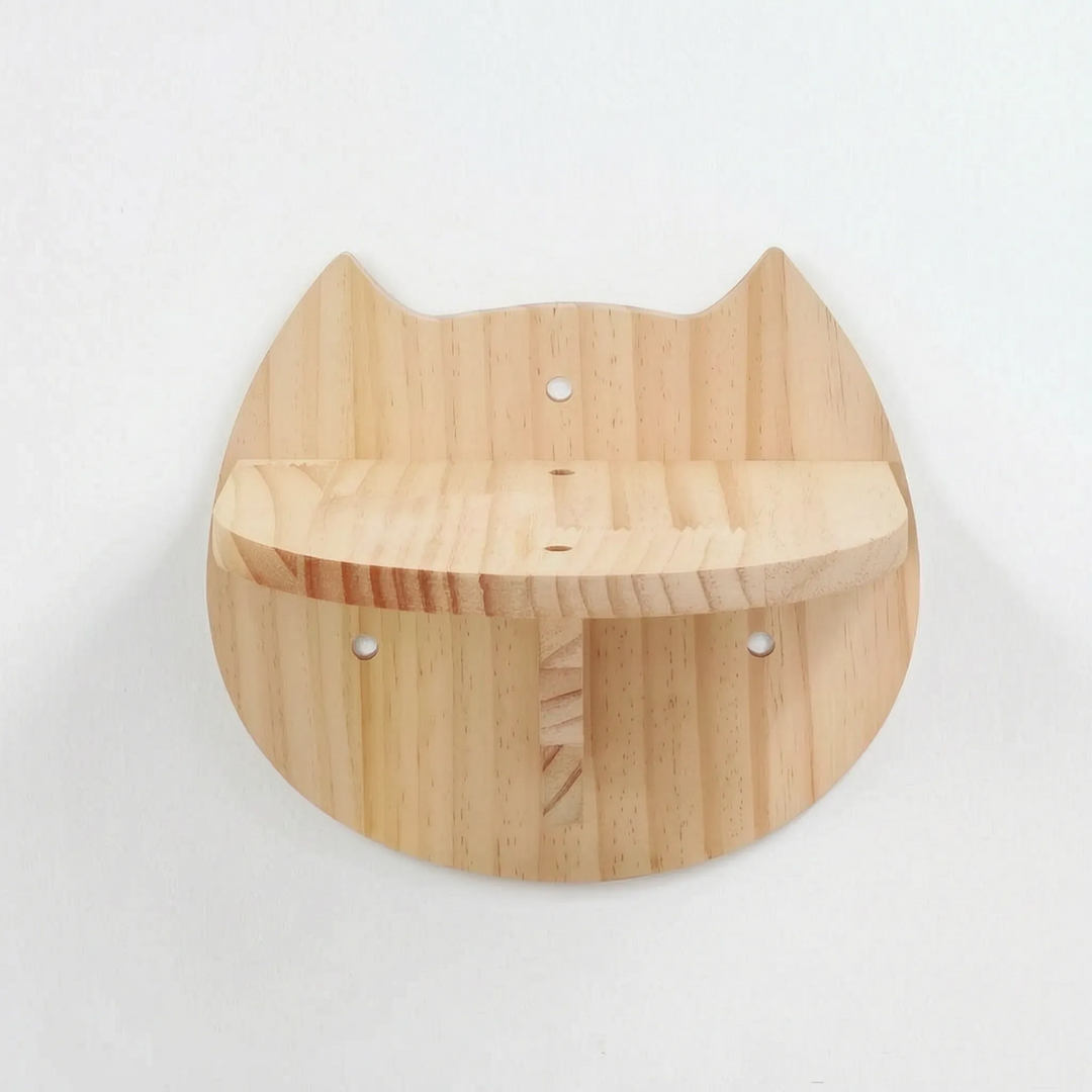 Modulares Wandklettersystem -  Ascendo
