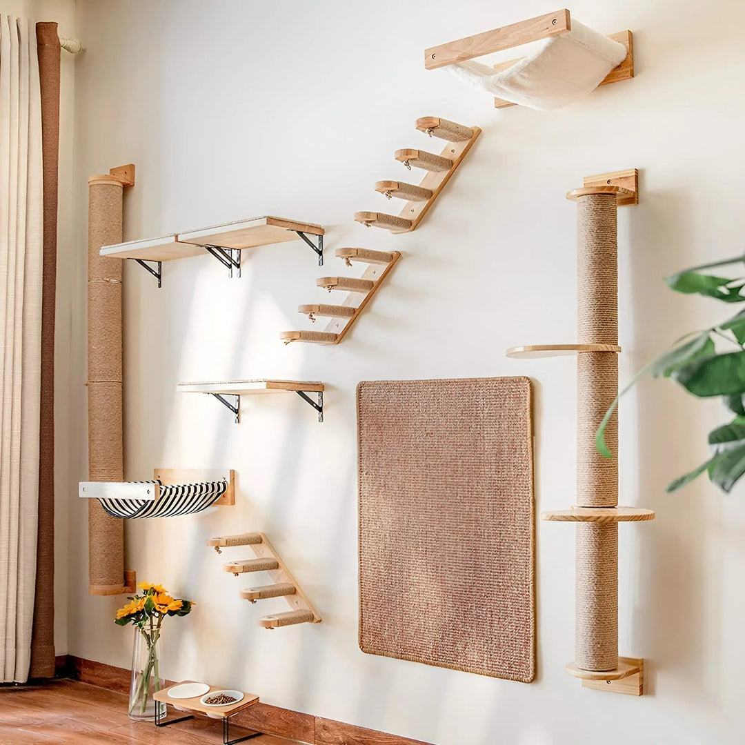 Modulares Wandklettersystem -  Ascendo
