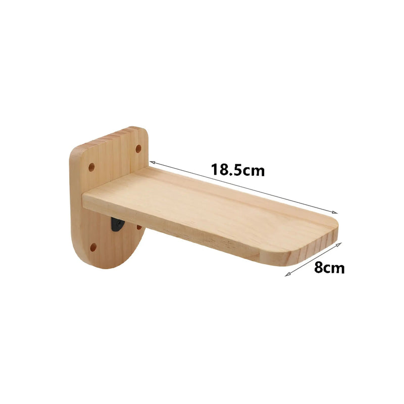 Modulares Wandklettersystem -  Ascendo