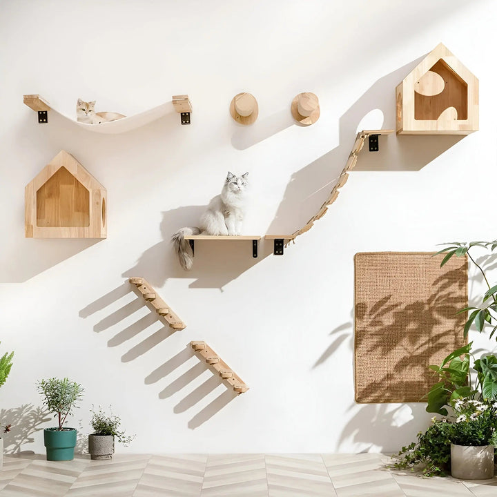 Modulares Wandklettersystem -  Ascendo