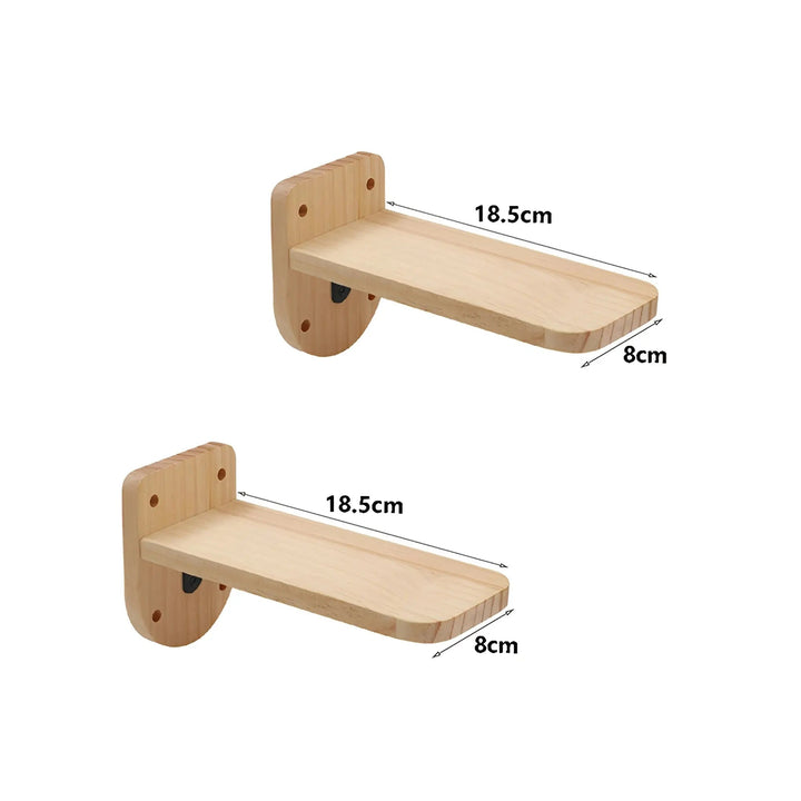 Modulares Wandklettersystem -  Ascendo