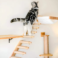 Modulares Wandklettersystem -  Ascendo