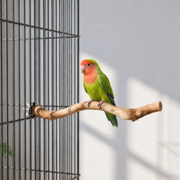 Naturbelassene Vogelstange Für Den Käfig -  PerchBranch