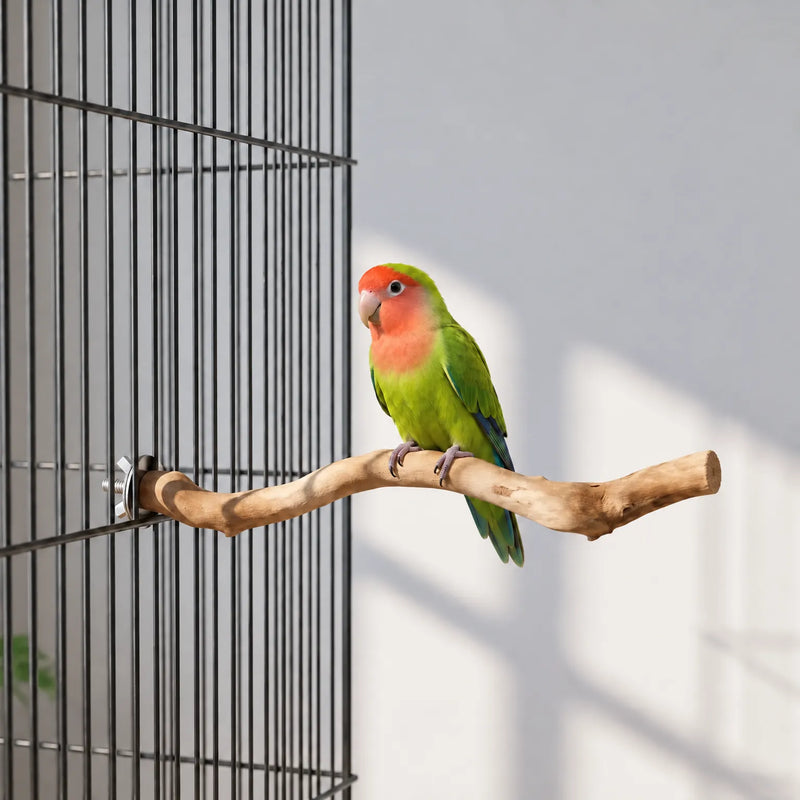 Naturbelassene Vogelstange Für Den Käfig -  PerchBranch