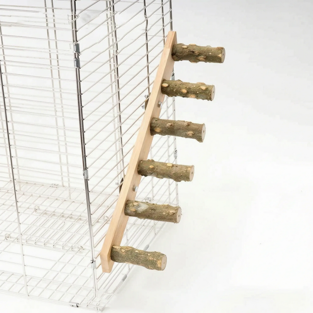 Natürliche Vogelleiter -  ClimbTree