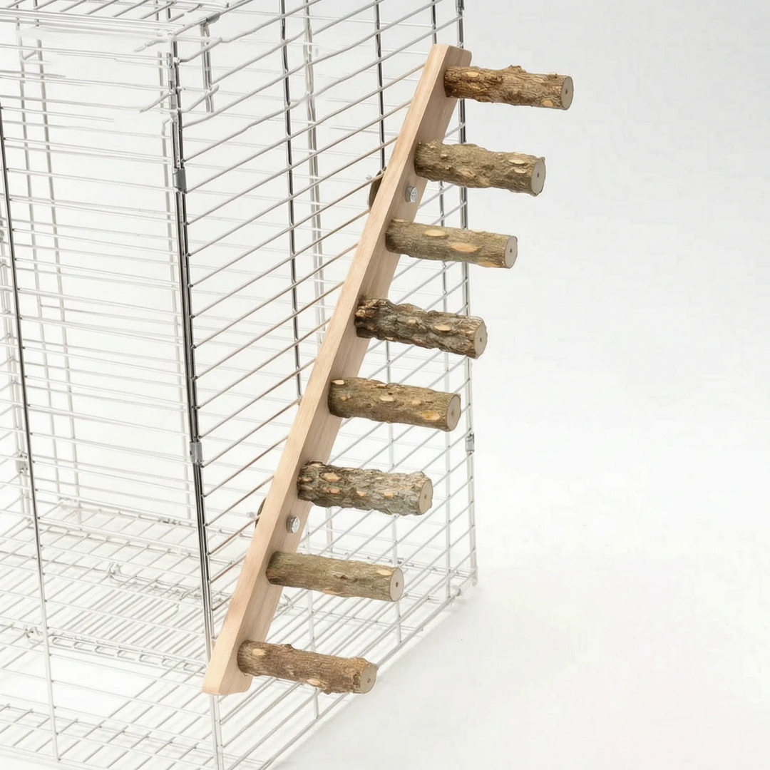 Natürliche Vogelleiter -  ClimbTree