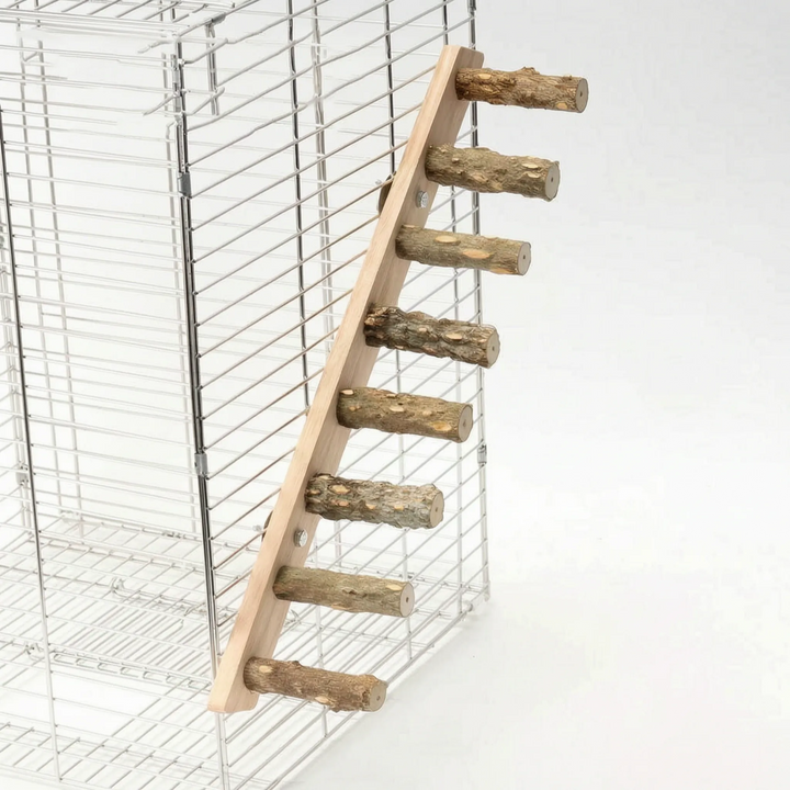 Natürliche Vogelleiter -  ClimbTree