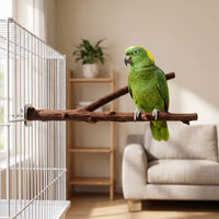 Natürliche Vogelsitzstange -  PerchTwist