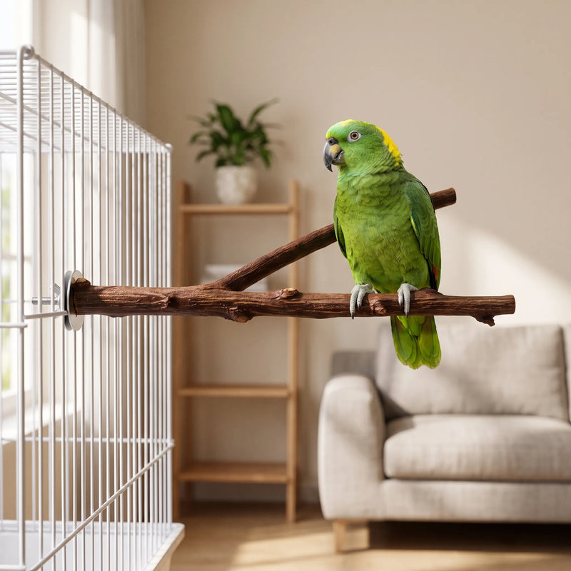 Natürliche Vogelsitzstange -  PerchTwist
