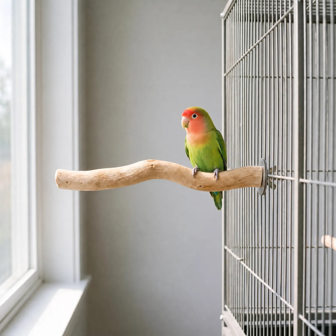 Natürliche Vogelstange -  Roostia