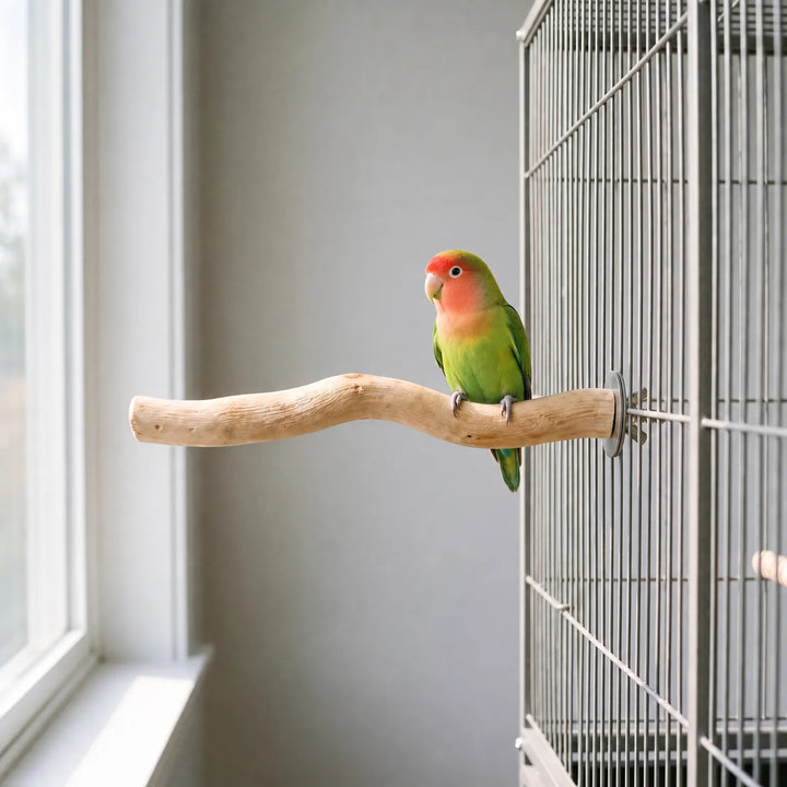 Natürliche Vogelstange -  Roostia