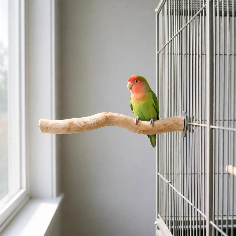 Natürliche Vogelstange -  Roostia
