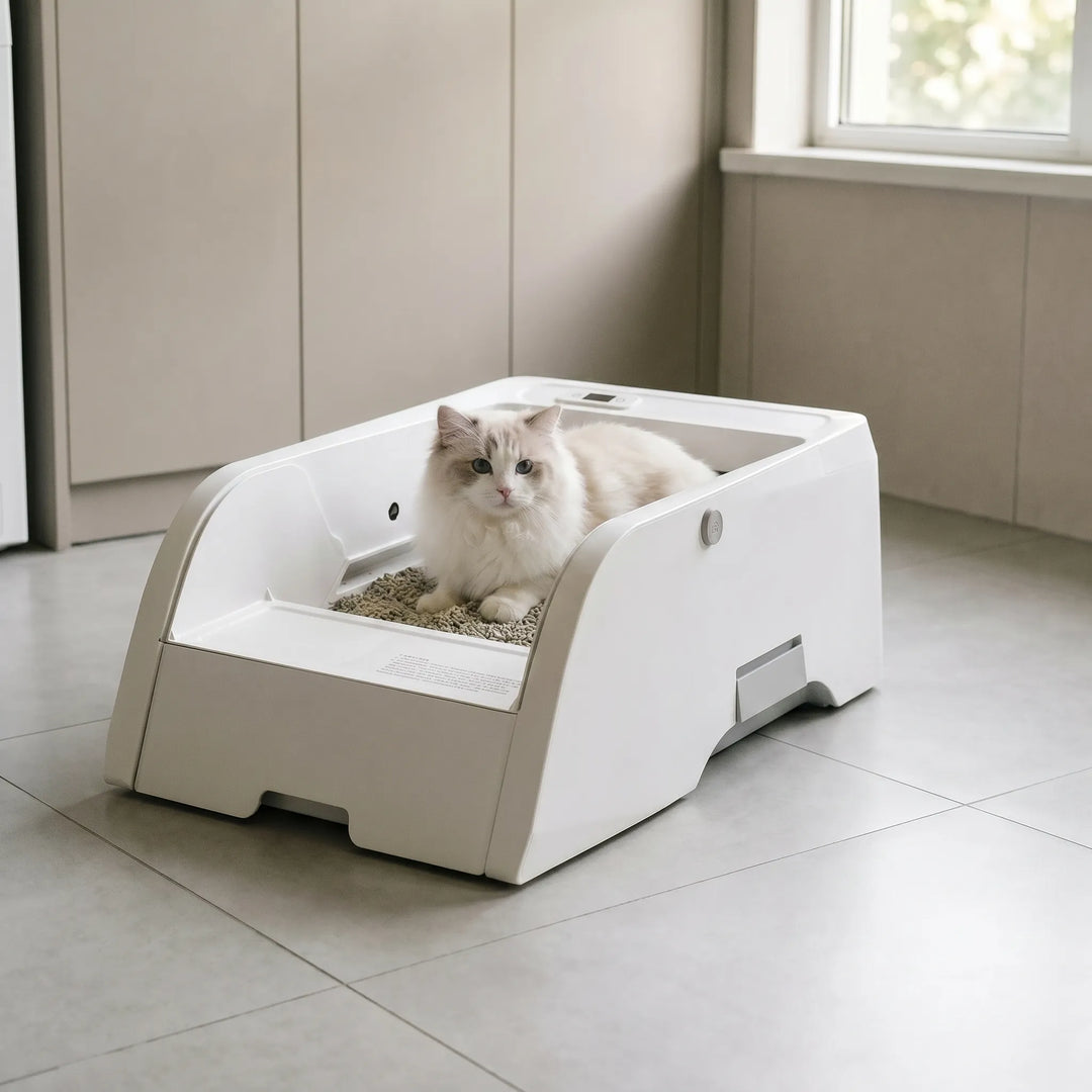 Offene Elektrische Katzentoilette -  Swifto