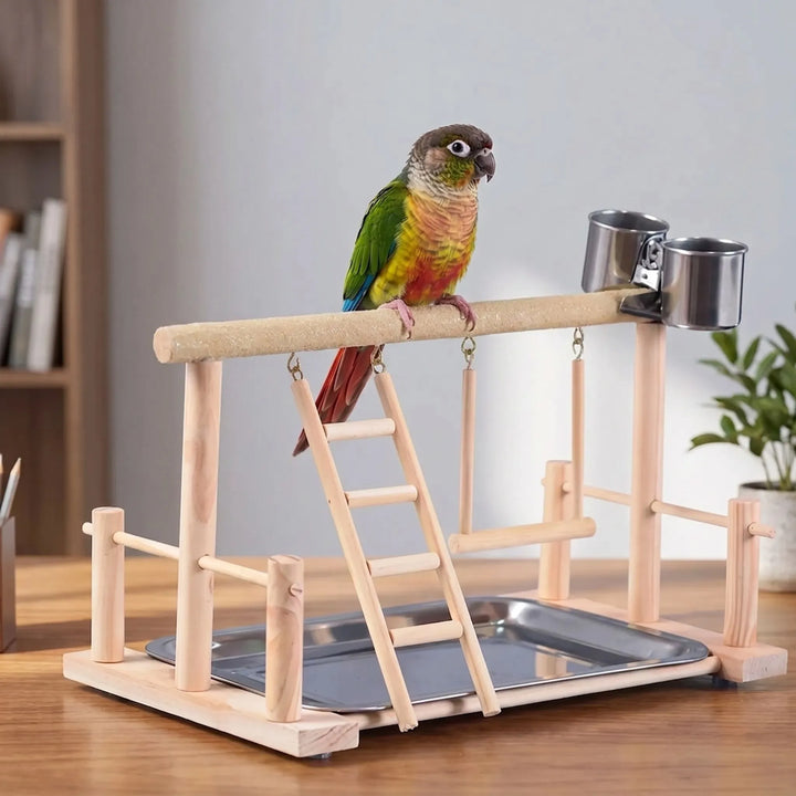 Offener Vogelspielplatz Mit Leiter -  PerchPlay