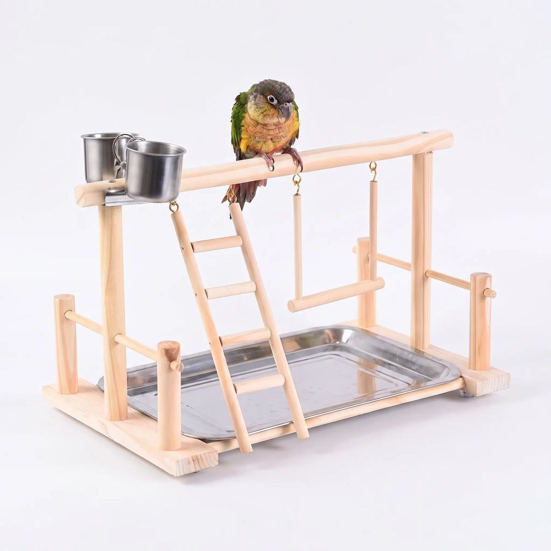 Offener Vogelspielplatz Mit Leiter -  PerchPlay