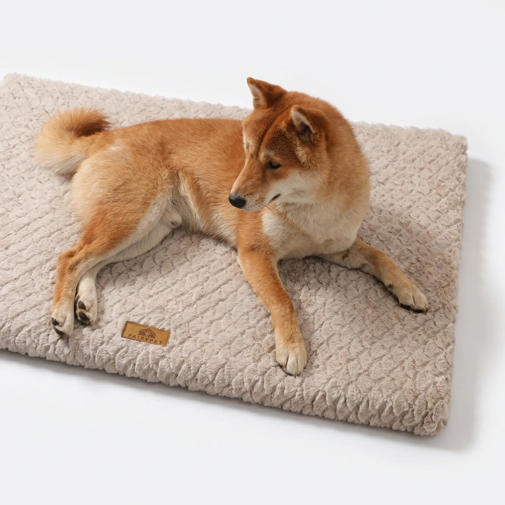Orthopädische Hundematte Mit Abnehmbarem Bezug -  SlumberMat