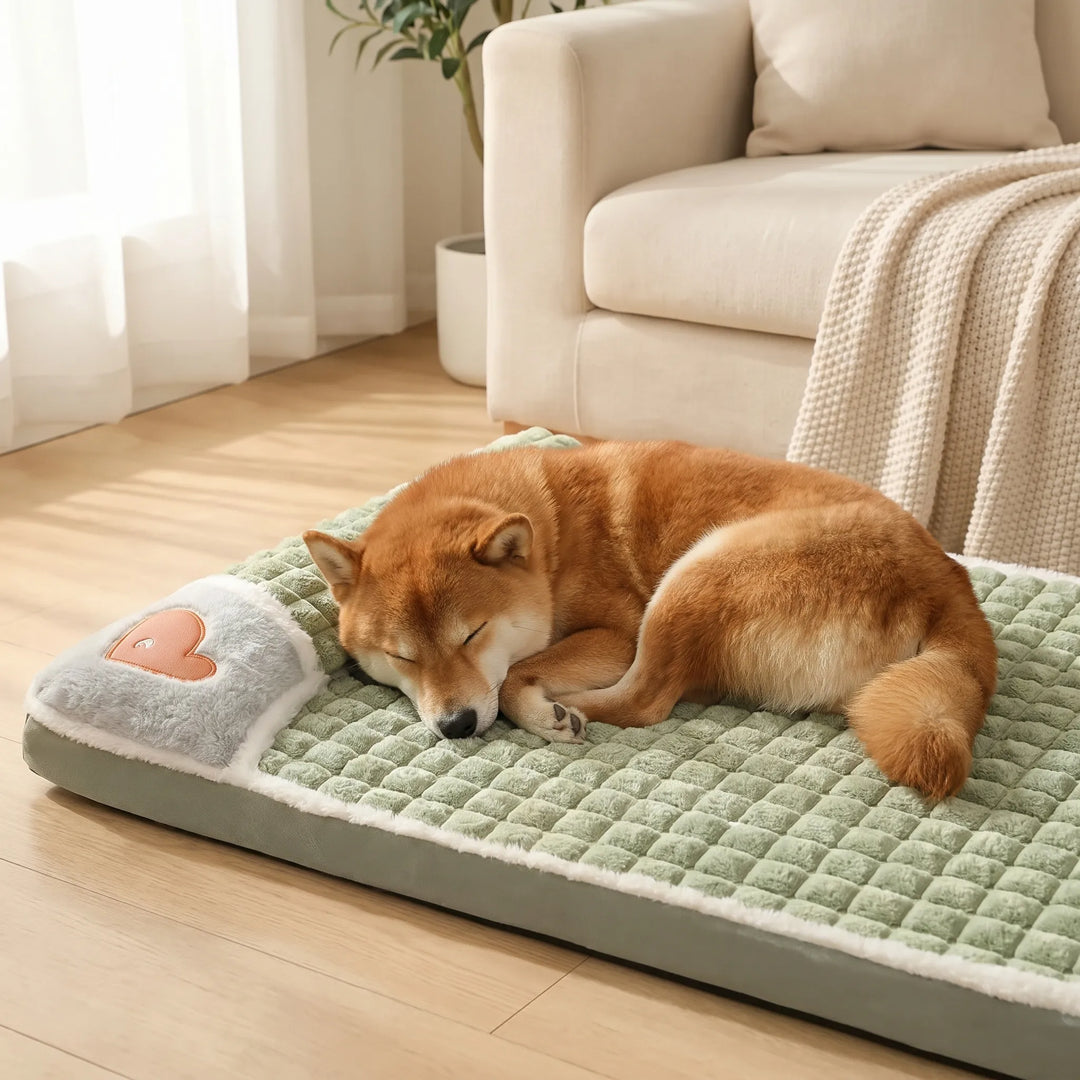 Orthopädisches Hundebett Mit Abnehmbarem Bezug -  Slumberpad