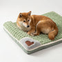 Orthopädisches Hundebett Mit Abnehmbarem Bezug -  Slumberpad