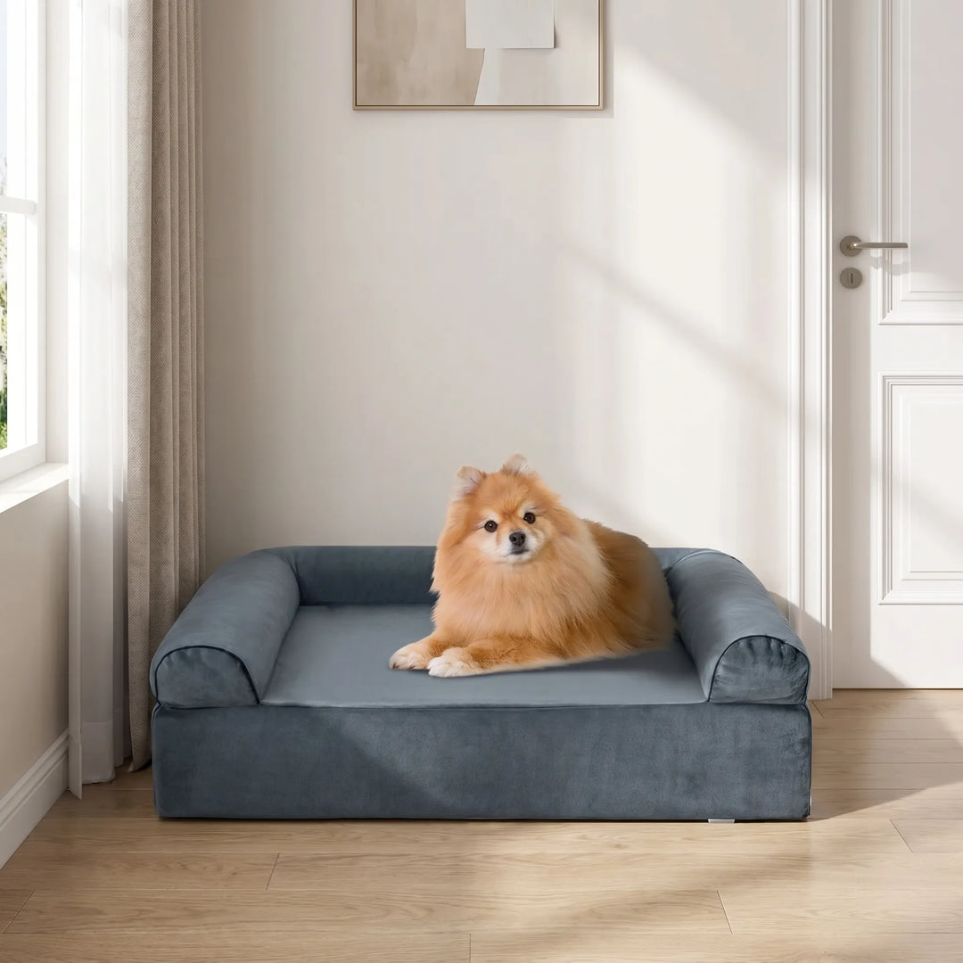 Orthopädisches Hundebett Mit Rand -  Pavyon