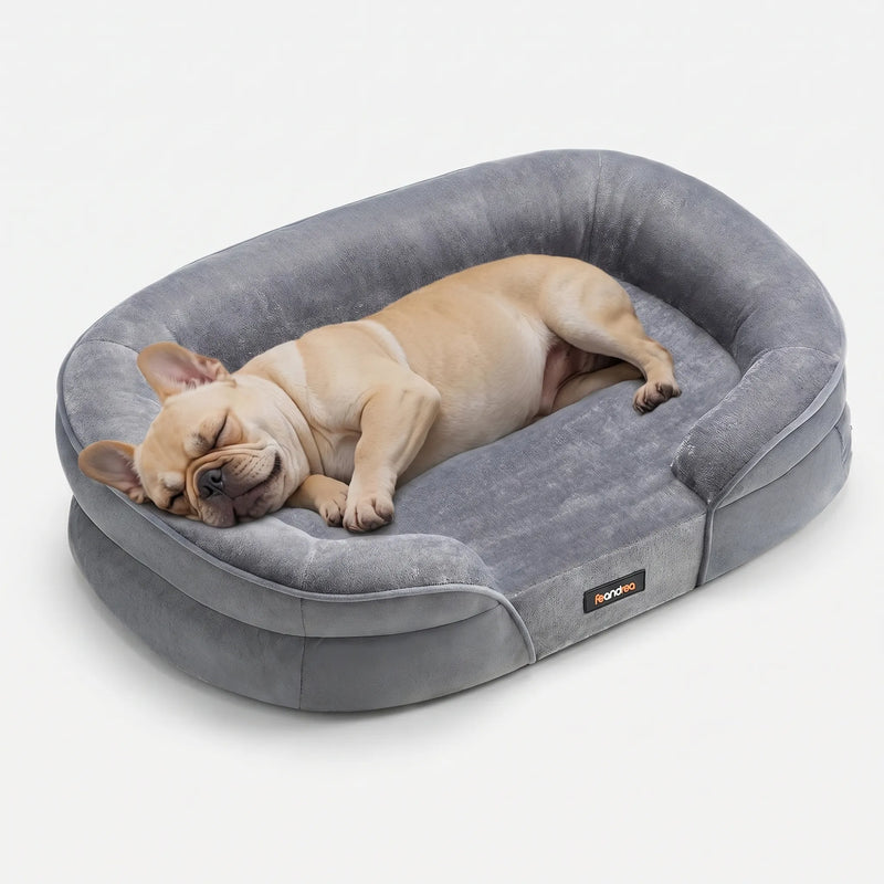 Orthopädisches Hundebett Mit Randpolster -  Pawrest