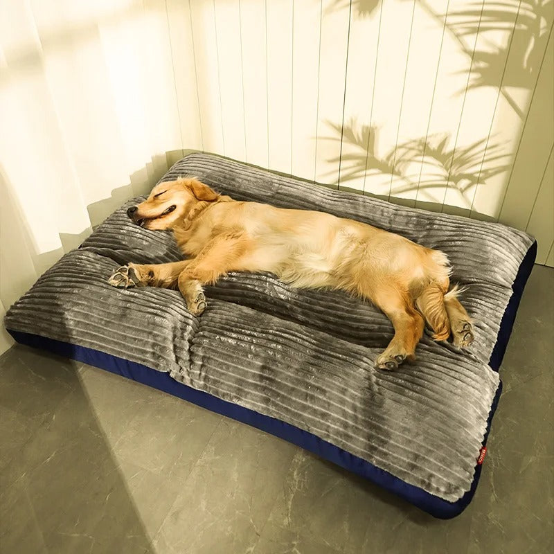 Orthopädisches Hundekissen -  Restia
