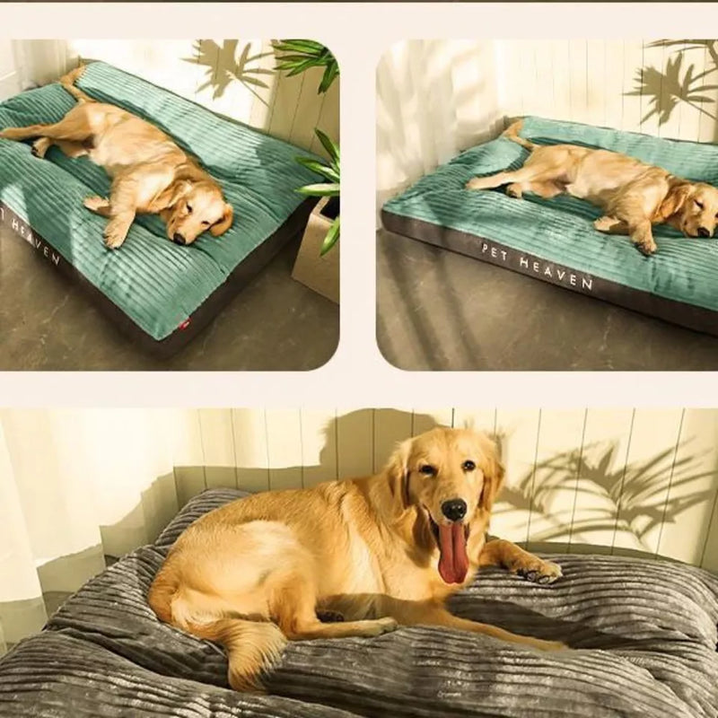 Orthopädisches Hundekissen -  Restia