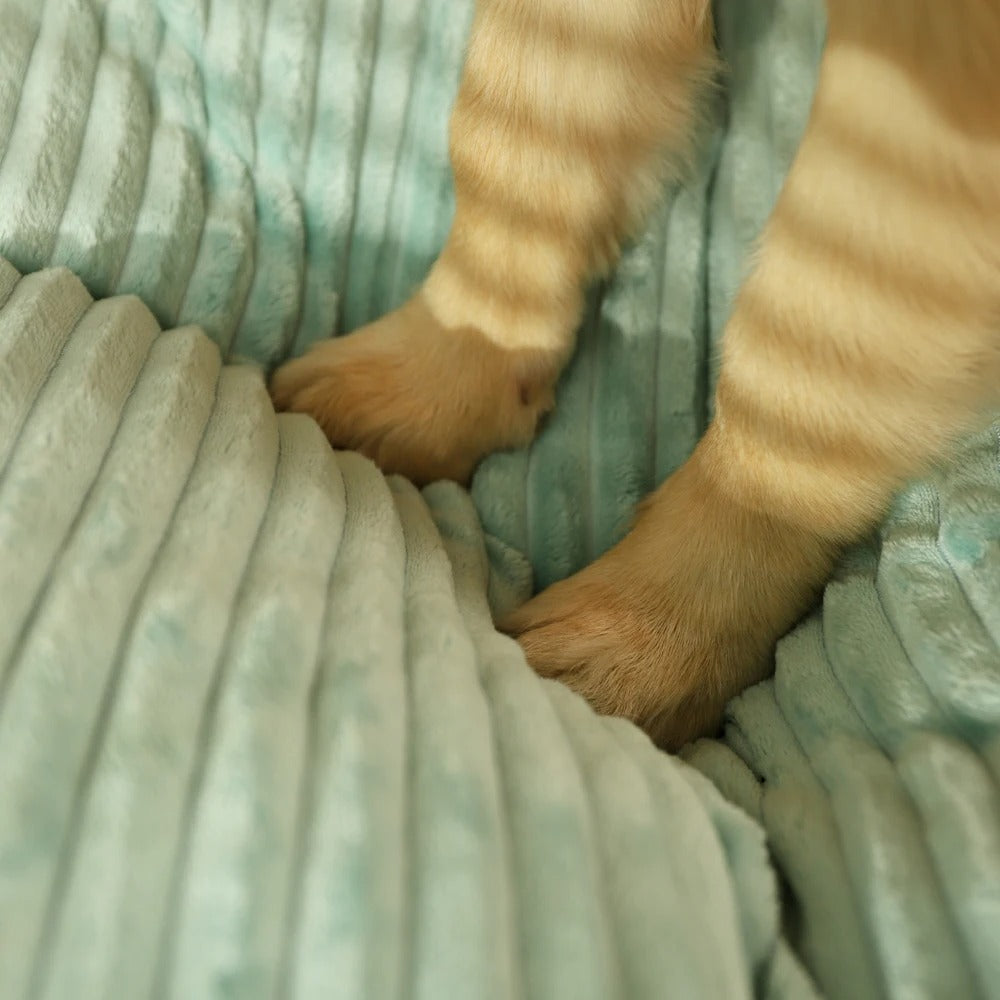Orthopädisches Hundekissen -  Restia