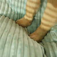 Orthopädisches Hundekissen -  Restia