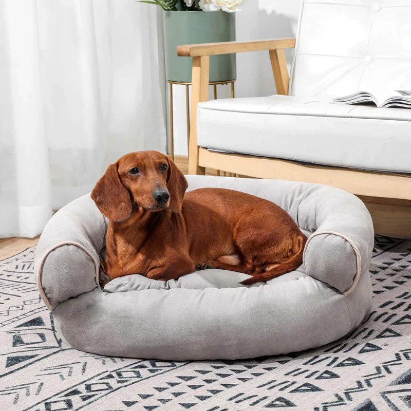 Orthopädisches Hundesofa Mit Rand -  Restia