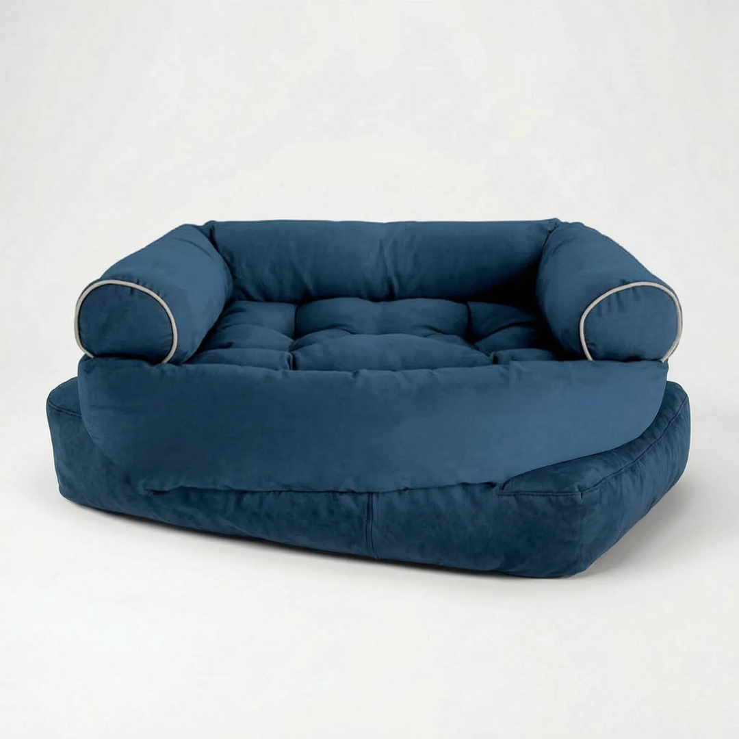 Orthopädisches Hundesofa Mit Rand -  Restia