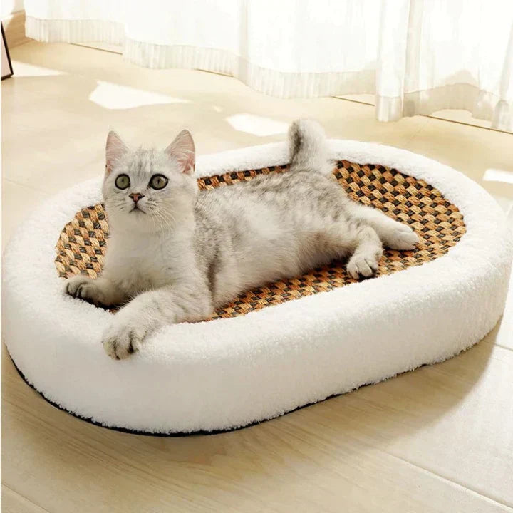Ovales Katzenbett Mit Kratzfläche -  Meowza