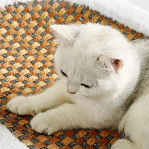 Ovales Katzenbett Mit Kratzfläche -  Meowza