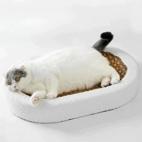Ovales Katzenbett Mit Kratzfläche -  Meowza