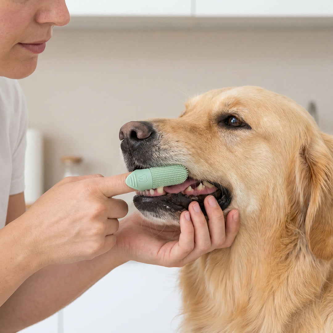 Praktische Fingerzahnbürste Für Kleine Haustiere -  Molaro