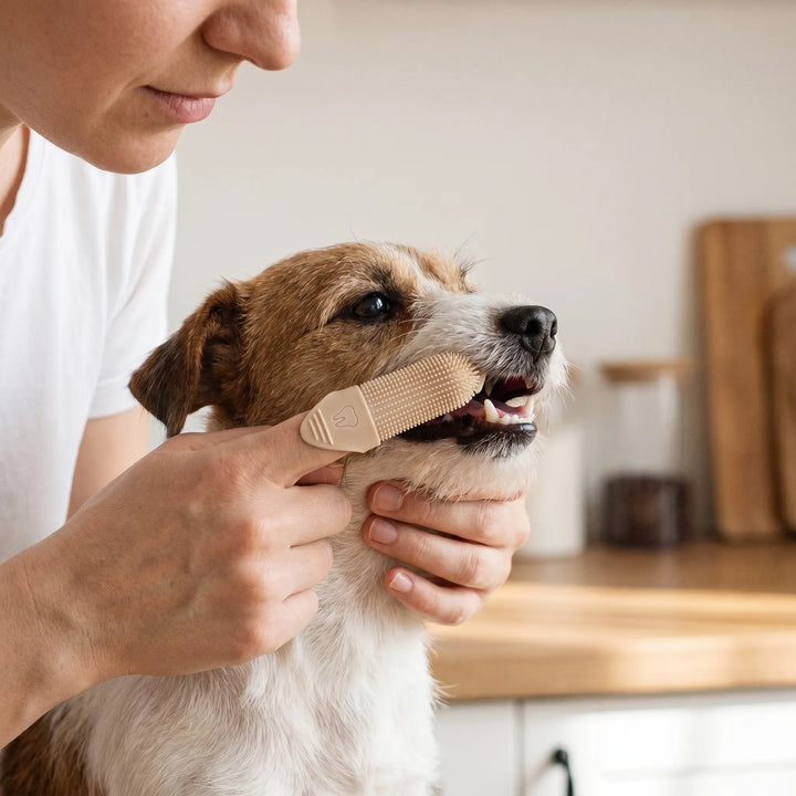 Praktische Fingerzahnbürste Für Kleine Haustiere -  Molaro