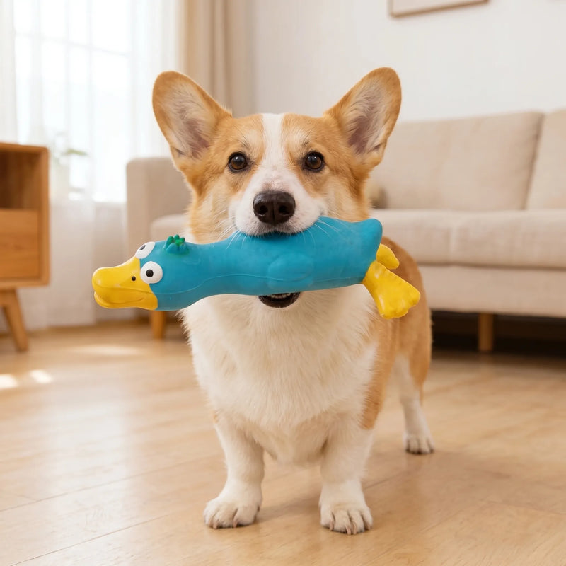 Quietschendes Hundespielzeug In Tierform -  Squawko