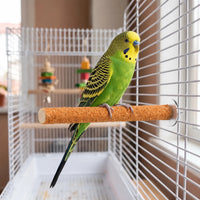 Raue Vogelsitzstange -  GripStick