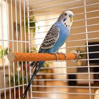 Raue Vogelsitzstange -  GripStick