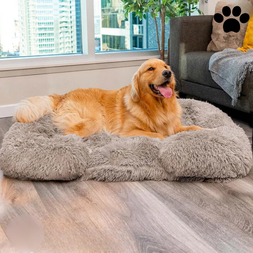 Rechteckiges Hundebett -  Clouzia
