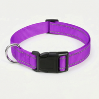Reflektierendes Hundehalsband -  Strapio