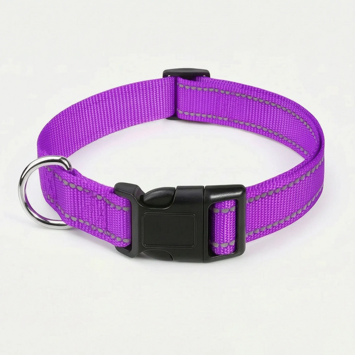 Reflektierendes Hundehalsband -  Strapio