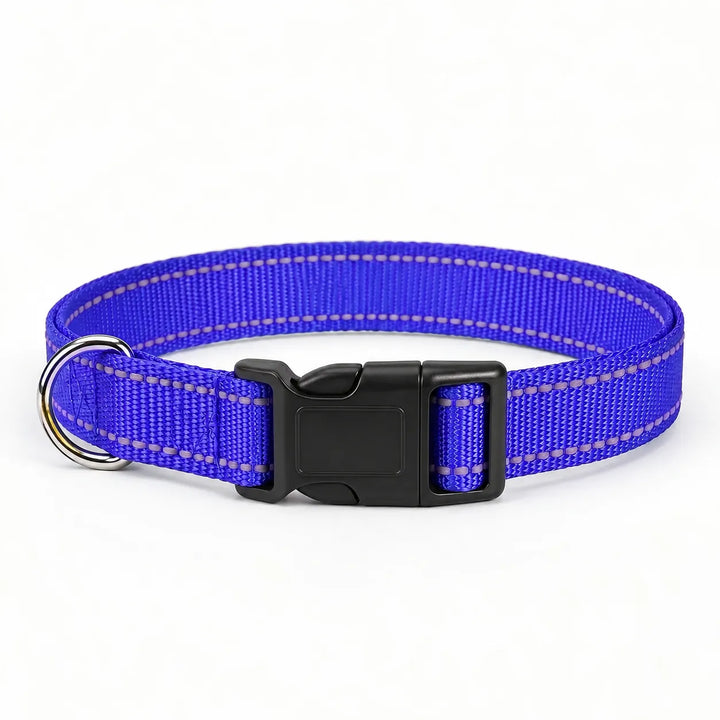 Reflektierendes Hundehalsband -  Strapio