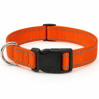 Reflektierendes Hundehalsband -  Strapio
