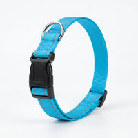 Reflektierendes Hundehalsband -  Strapio