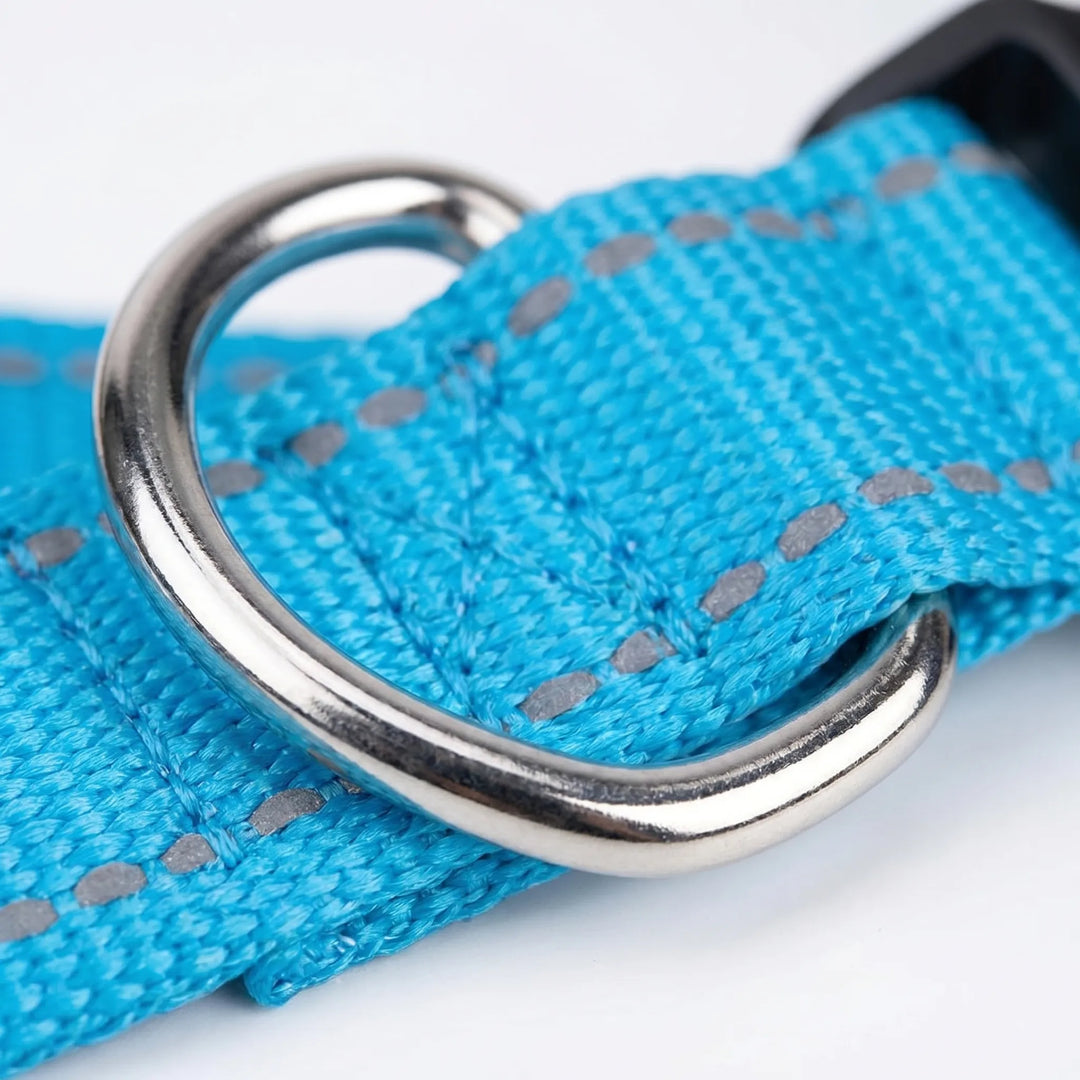 Reflektierendes Hundehalsband -  Strapio