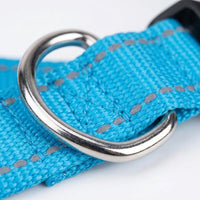 Reflektierendes Hundehalsband -  Strapio