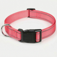 Reflektierendes Hundehalsband -  Strapio