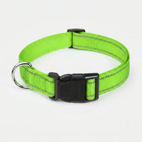 Reflektierendes Hundehalsband -  Strapio